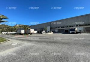Location entrepôt Nice - Parc d'Activités Logistiques