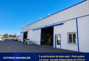 Location locaux d'activité Toulouse - 5 accès plain-pied et pont roulant