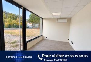 Local d'activité à vendre Montrabé - Proche A68 et rocade