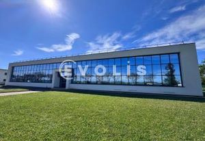 Bureaux à louer Bron - Proche EUREXPO et aéroport