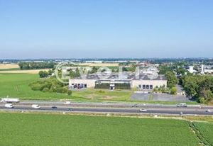 Location locaux polyvalents Templemars - Hauteur 8 m