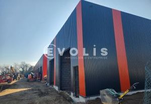 Locaux d'activité à vendre Charvieu-Chavagneux - Proximité A432 et aéroport