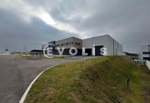 Locaux d'activité à louer Colombier-Saugnieu - Proche A432 et A43