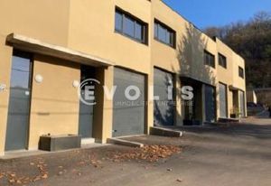 Location locaux d'activité Fleurieu-sur-Saône - Proche bus et route D433