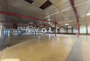 Location bâtiment d'activité Rillieux-la-Pape - Terrain indépendant