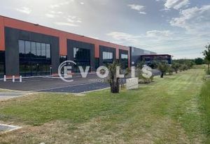 Location local commercial Saint-Quentin-Fallavier - Axe D1006