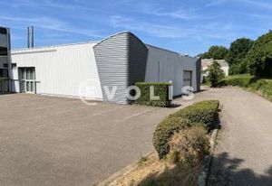 Location local d'activité Dardilly - Proche A6/A89