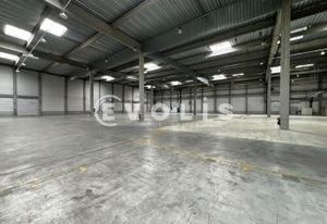 Location local d'activité Saint-Priest - 11 m de hauteur - A43