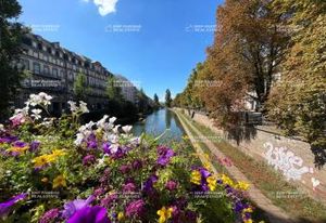 Bureaux à louer Strasbourg - Proche Gare et Tribunal