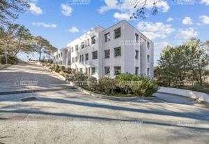 Vente bureaux Biot - Proche Technopole de Sophia Antipolis