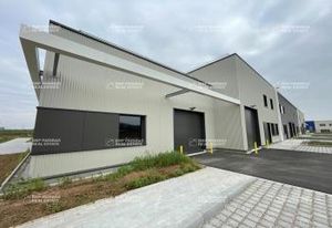 Locaux d'activité neufs à vendre Bergheim - 3000 m²