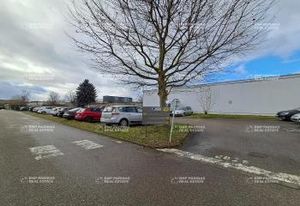 Locaux d'activité à vendre Schiltigheim - Zone Mittelfeld