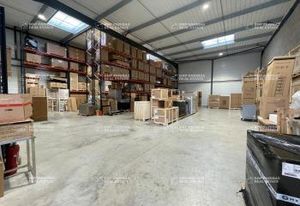 Location cellule d'activité Bailly-Romainvilliers - Proche Disneyland