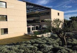 Bureaux à louer Sophia Antipolis - Environnement végétalisé