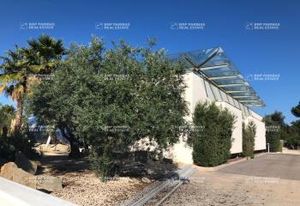 Vente bureaux Montpellier Est Frejorgues Ouest