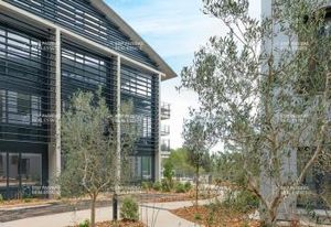 Location bureaux neufs Sophia Antipolis - Proximité A8 et aéroport Nice