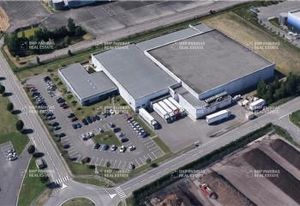 Location entrepôt logistique Montauban - Froid positif et négatif