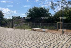 Location bureaux Montpellier Est - Tramways lignes 1 et 3