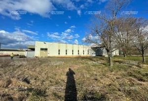 Vente locaux d'activité Saint-Quentin-Fallavier - 2 bâtiments indépendants