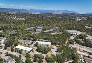 Location bureaux Biot - Sophia Antipolis campus tertiaire