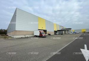 Entrepôt logistique à louer Herrlisheim - Proche A35 et D29