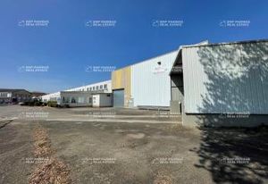 Vente ensemble immobilier industriel Schweighouse-sur-Moder - 11 500 m²