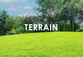 Terrain activité Saint-Aignan-Grandlieu - Aéroport et périphérique