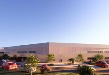 Location locaux d'activité Mauguio - Proximité aéroport et A709