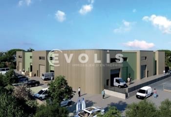 Locaux d'activité à vendre Piolenc - Proximité A7 et A9