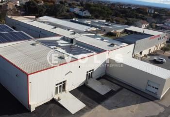 Entrepôt froid dirigé à vendre Courthézon - Proximité A7 et A9