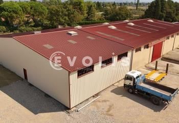 Entrepôt à vendre Courthézon - Proximité A7/A9