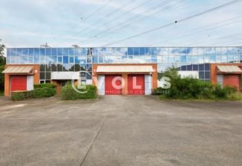 Local d'activité à louer Massy - Proche RER B & C, TGV, A10, A6