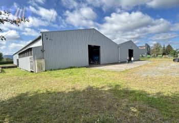 Local d'activité à louer Villeneuve-de-Rivière - Proche A64 et RD817