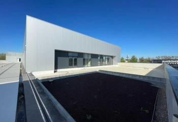 Local commercial à louer Bègles - ZAC Rives d'Arcins