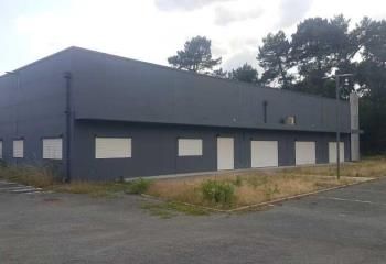 Locaux d'activités à vendre Saint-Jean-d'Illac - Proximité rocade sortie 12