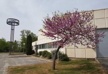 Vente bureaux Bordeaux Lac, accès rocade et tram