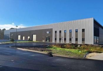 Locaux d'activités neufs à louer Mérignac - Proximité rocade et tram