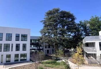 Vente bureaux Limonest - Proche A6, Aéroport Saint-Exupéry et SNCF Part-Dieu