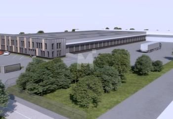 Local d'activité à louer Chilly-Mazarin - Proximité tramway T12 et autoroutes A6/A10