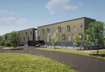 Locaux d'activité à vendre Grigny - Proche A6 et Tram T12