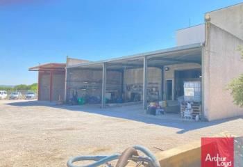 Vente locaux d'activité Saint-André-de-Sangonis - Proximité RN 109 et A750