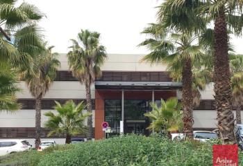 Location bureaux Montpellier - Parc Club du Millénaire, proche tramway