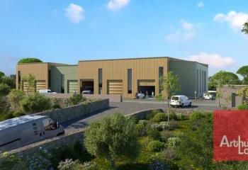 Local d'activité neuf à louer Saint-Georges-d'Orques - Proche A750