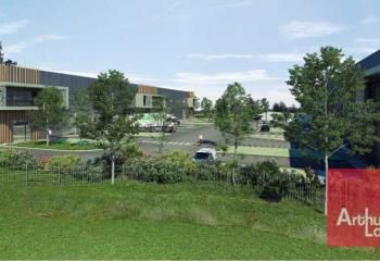 Locaux d'activité neufs à louer Mauguio - Proximité aéroport et A9