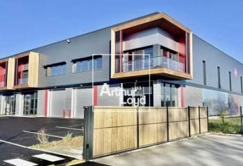 Locaux d'activité neufs à louer Fenouillet - Proximité A62