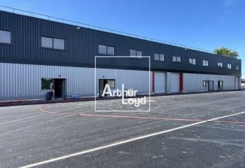 Locaux d'activité neufs à louer Bruguières - Proche A62