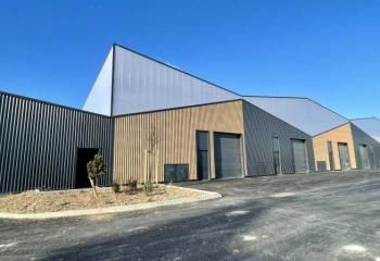 Local d'activité à louer Béziers - Proximité A9 et A75