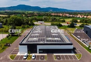 Bâtiment d'activités à vendre Goxwiller - Parc d'activité du Piémont