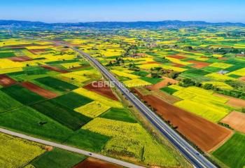 Terrain à vendre Gambsheim - accès A4/A35 et gare TER