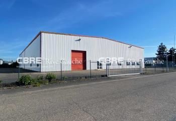 Local d'activité à louer Fegersheim - Proche autoroutes et aéroport